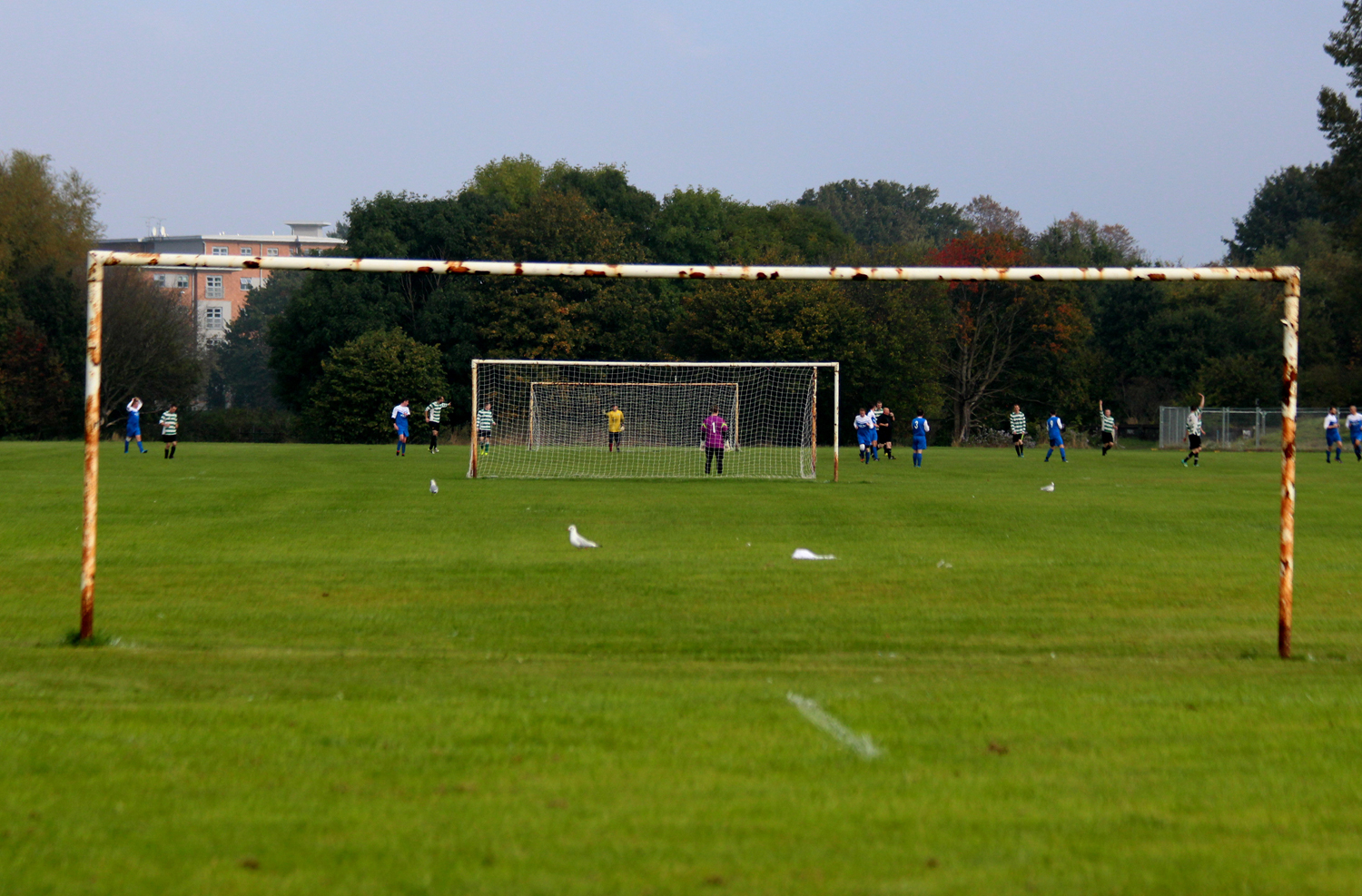 England, Non-League Football: 2010-11 Conference North [a 6th Level  league]. «