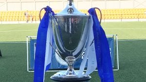 Berks and Bucks County FA Senior Cup. Photo: BBFA.