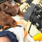 Dale James and his dog at a Tiverton Town game. Photo: Dale James.