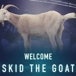 Caversham United's Skid the Goat.