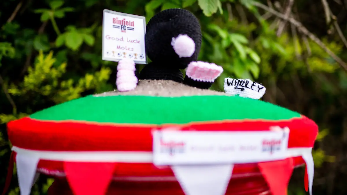 Tracey Devlin has created this wonderful postbox top in the village. Photo: Neil Graham / ngsportsphotography.com