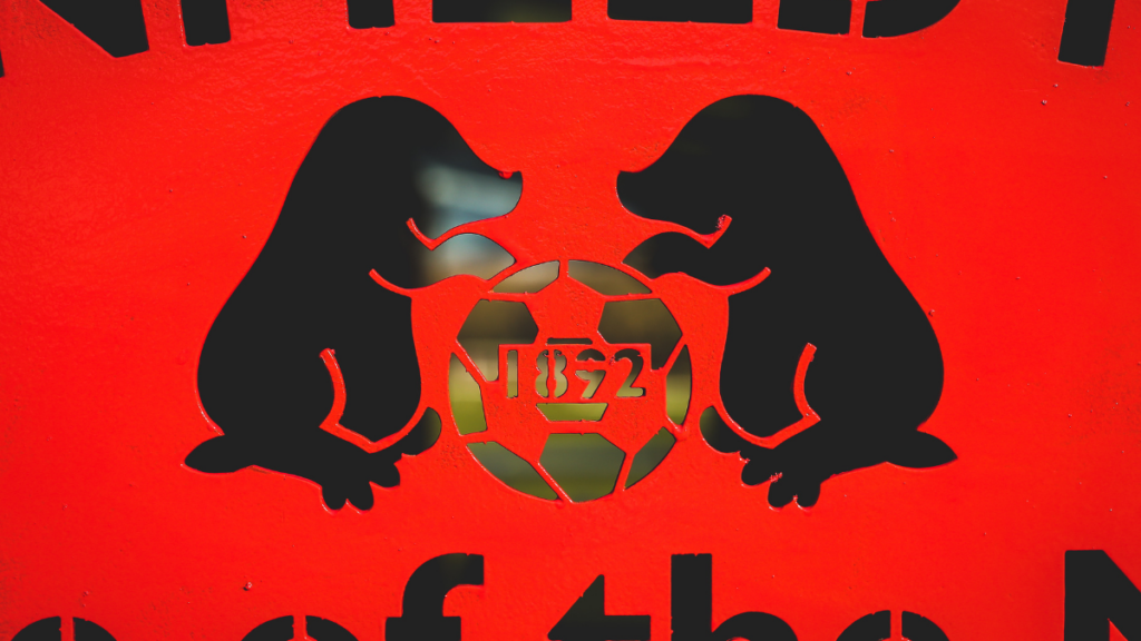 The new gate at Binfield FC. Photo: Neil Graham.